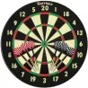 Cible Harrows Champion Family Dart Game Chizzy